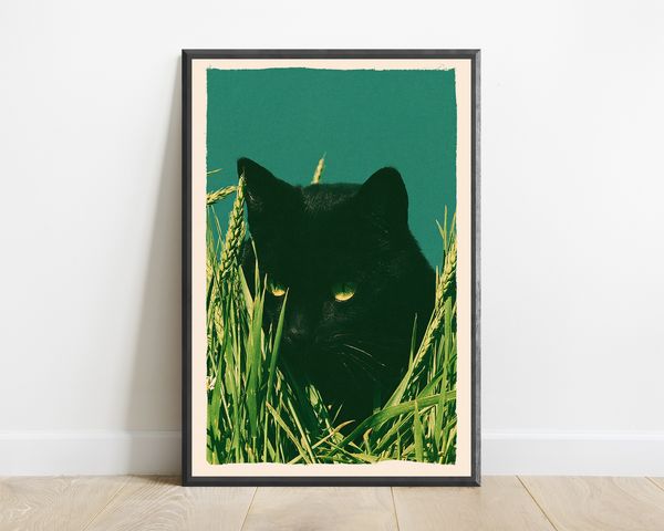 Black Cat Golden Wheat Field Print