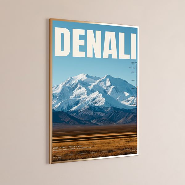 Denali Mountain Elevation Print
